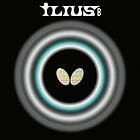 Butterfly Ilius B