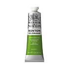 Winsor & Newton Winton Oljefärg Chrome Green Hue 145 37ml