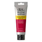 Winsor & Newton Galeria Akrylmaling Permanent Rose 502 120ml