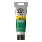 Winsor & Newton Galeria Akrylmaling Permanent Green Middle 484 120ml