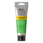 Winsor & Newton Galeria Akrylmaling Permanent Green Light 483 120ml