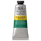 Winsor & Newton Galeria Akrylfärg Permanent Green Deep 482 60ml