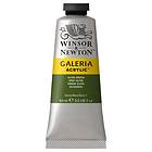 Winsor & Newton Galeria Akrylfärg Olive Green 447 60ml