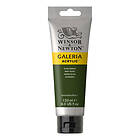 Winsor & Newton Galeria Akrylfärg Olive Green 447 120ml