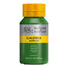 Winsor & Newton Galeria Akrylmaling Sap Green 599 500ml