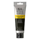 Winsor & Newton Galeria Akrylmaling Ivory Black 331 120ml