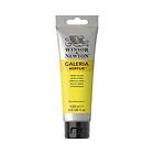 Winsor & Newton Galeria Akrylmaling Lemon Yellow 346 120ml