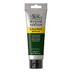 Winsor & Newton Galeria Akrylmaling Hookers Green 311 120ml