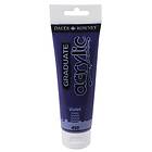 Daler-Rowney Graduate Akrylfärg Violet 450 120ml