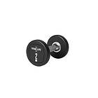 Titan Life PRO Dumbbell PU 2kg