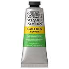 Winsor & Newton Galeria Akrylfärg Permanent Green Light 483 60ml