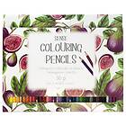 Sense Soft Colouring Pencils Färgpennor 36st