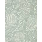 Sanderson Cantaloupe (DCPW216761)