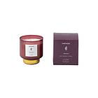 Illume x Bloomingville Scented Candle Cedarwood 222g