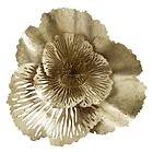 Nordal Hoy Golden Flower