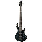 ESP LTD F-1005