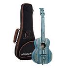 Ortega Concert ukulele RUSWB-TE