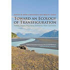 Toward an Ecology of Transfiguration