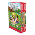 Boxcar Children Mysteries Boxed Set #1-4