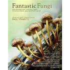 Fantastic Fungi