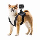 GoPro Fetch Hundsele