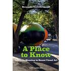 A Place To Know Aesthetic Meaning In Recent Visual Art