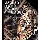 Jaguar, Tiger, Lejon, Leopard Möten Med De Fyra Stora Kattdjuren