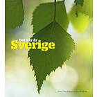 Det Här Är Sverige