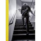 Trappsniglar En Bok Om Brevbärare