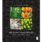 Din Guide I Plantskolan