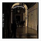 Fascination Black Blue Brown