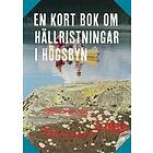 En Kort Bok Om Hällristningar I Högsbyn