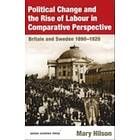 Political Change And The Rise Of Labour In Comparative Perspective B