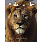 Afrikas Djurliv Safariguide