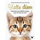 Katte Diem Och Femtioelva Andra Kattdikter Som Fångar Dagen (och Nat