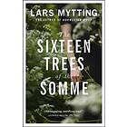 The Sixteen Trees Of Somme