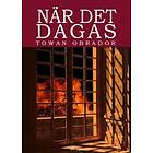När Det Dagas Historisk Roman Från Gotlands 1600-tal Ca 1603 1610