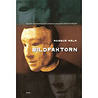 Bildfaktorn
