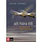 Att Höra Till Om Ensamhet Och Gemenskap