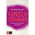 Känslostormar Emotionell Instabilitet Och Hjärnan