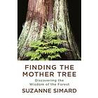 Finding The Mother Tree