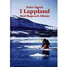I Lappland Med Fluga Och Blänke