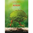 Lätta Fakta Om Myror