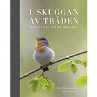 I Skuggan Av Träden Liv Våra Vilda Skogar