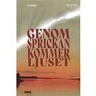 Genom Sprickan Kommer Ljuset