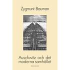 Auschwitz Och Det Moderna Samhället