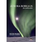 Aurora Borealis In Lappland