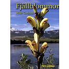 Fjällblommor