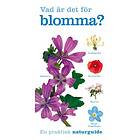 Vad Är Det För Blomma?