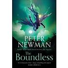 The Boundless